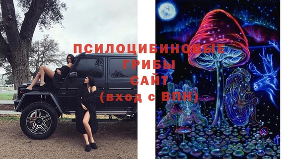 гидра Строитель
