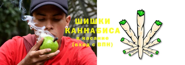 ешки Белокуриха