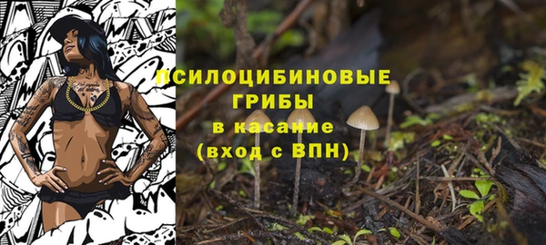 ешки Белокуриха