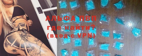 ешки Белокуриха