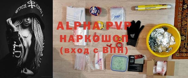 эйфоретик Беломорск