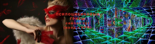 ешки Белокуриха